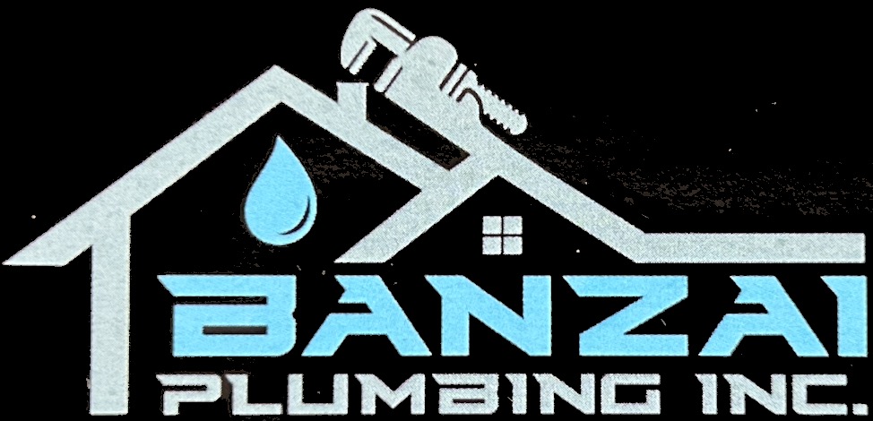 Banzai Plumbing