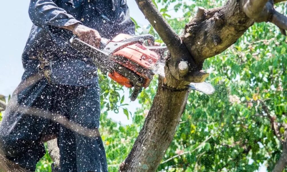 Island Ohana Tree Service LLC