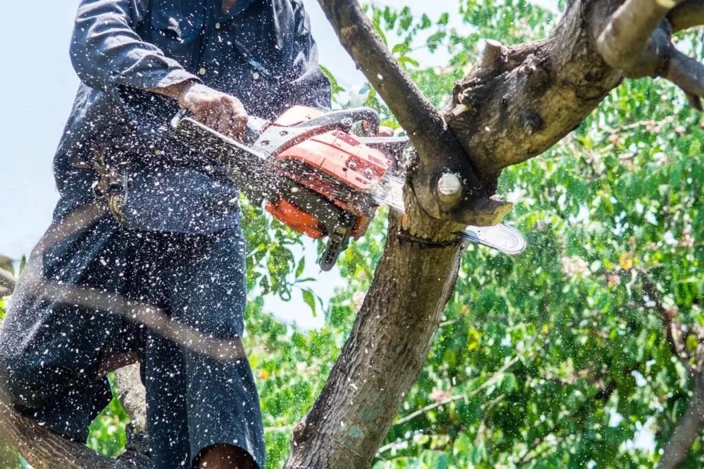 Island Ohana Tree Service LLC