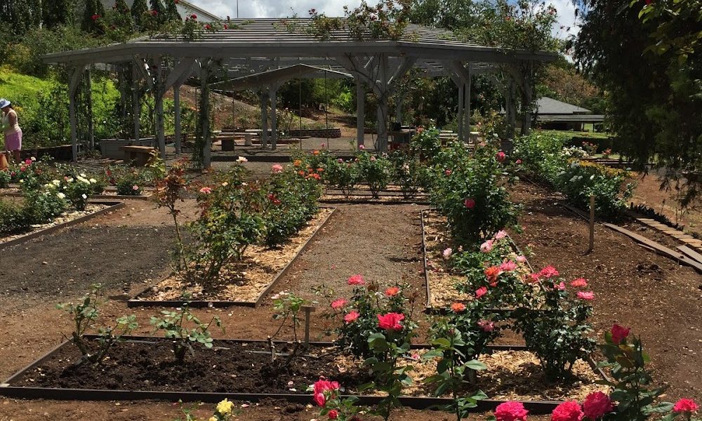Honolulu Rose Society